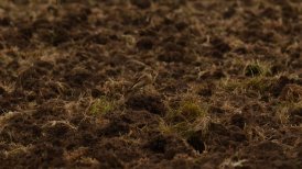 bevrijdingsdag 2022 492